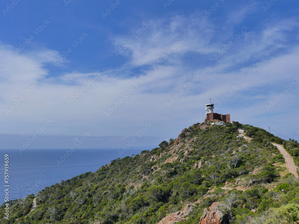 Paysage naturel de plage et verdure