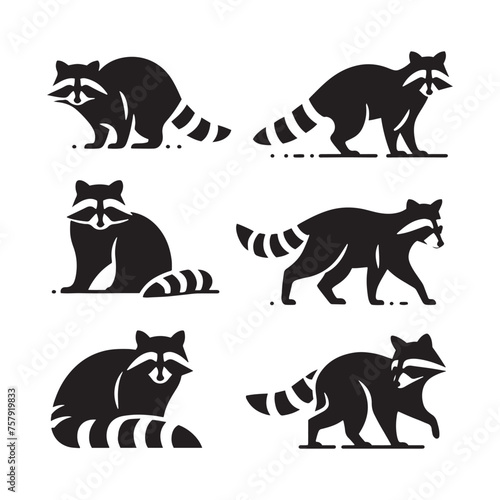 Raccoon Vector Silhouette: A Mysterious Silhouette Capturing the Essence of Raccoon Cunning in Vector Form. Black raccoon illustration.