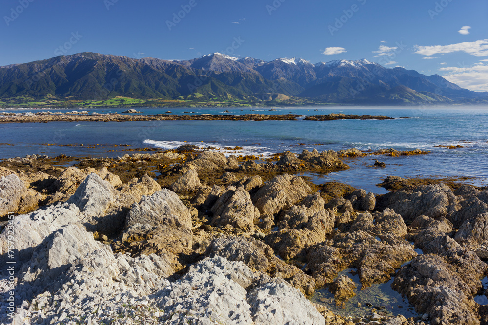 Gesteinsformationen, Kaikoura Halbinsel, Manakau Berge, Canterbury, Südinsel, Neuseeland Gesteinsformationen, Kaikoura Halbinsel, Manakau Berge, Canterbury, Südinsel, Neuseeland