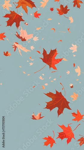 Maple leaves falling gently their cycle a lesson in sustainability and renewal.