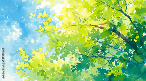 青空と新緑の木の枝ぶりの水彩イラスト背景