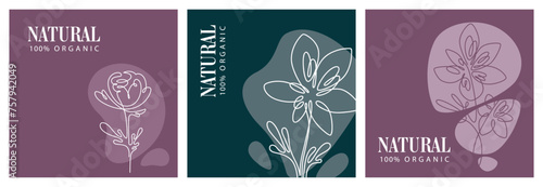 Set of natural and organic item logos or banners