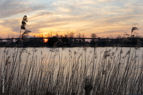 A scenic view of the Cape Fear River in Wilmington, North Carolina.