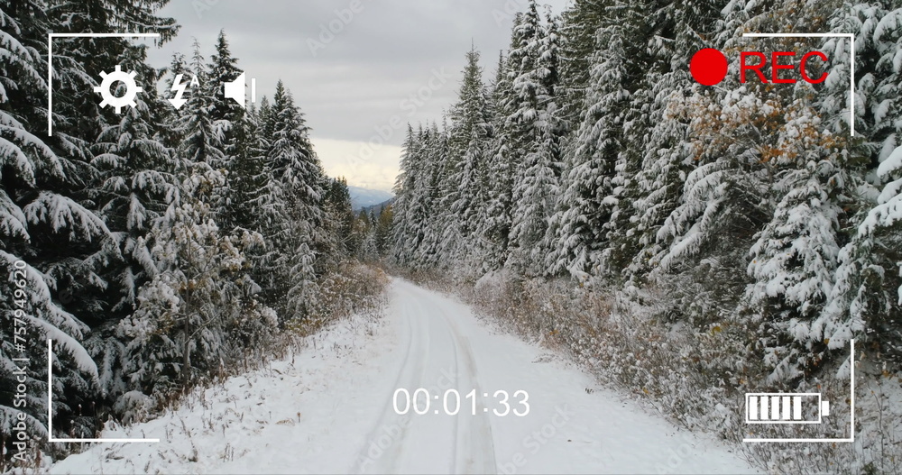 Obraz premium Digital camera records snowy forest scene in 4k with on-screen icons and timer.