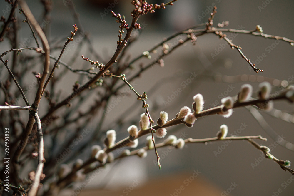 Beautiful willow branches bouquet close up in vase. Happy Easter! Simple easter table setting decor in farmhouse living room Beautiful willow branches bouquet close up in vase. Happy Easter! Simple easter table setting decor in farmhouse living room