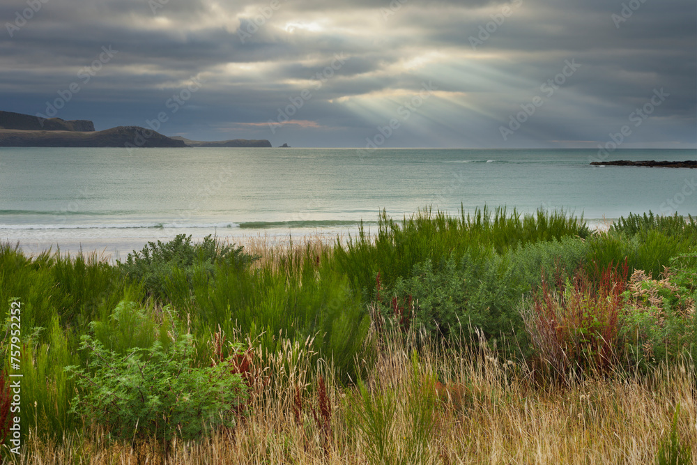 Porpoise Bay, Catlins, Southland, Südinsel, Neuseeland