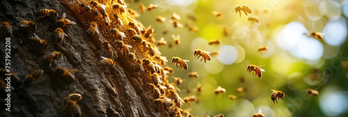 a swarm of bees on a stovbur tree, a hive with bees on honeycombs, flying in motion, sunlight with bokeh, for a banner photo