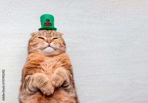 Red cat in a green hat on a gray background for St. Patrick's Day.