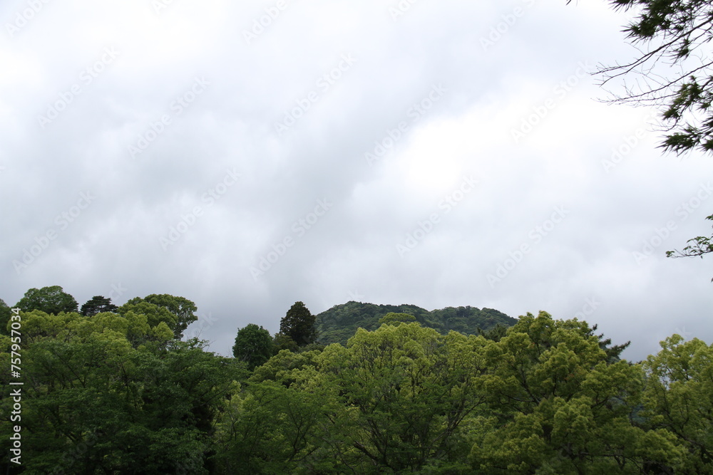 瑠璃光寺　山口県山口市観光　修繕工事中五重塔  japan yamaguchi  貴重　レア