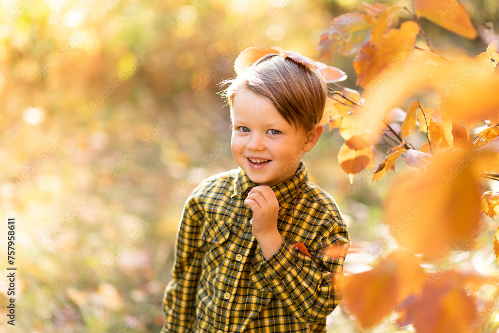 Autumn portrait of a little fair-haired smiling boy in a yellow shirt in the park Autumn portrait of a little fair-haired smiling boy in a yellow shirt in the park