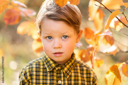 Autumn portrait of a little fair-haired serious boy in a yellow shirt in the park..