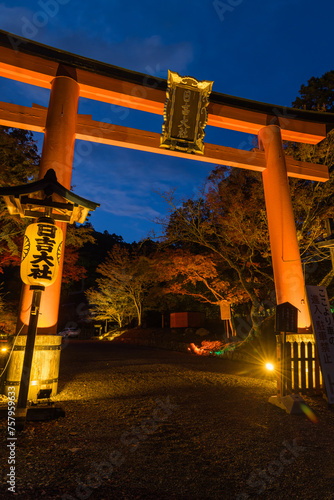 日本　滋賀県大津市にある日吉大社の境内のライトアップされた山王鳥居と紅葉 photo
