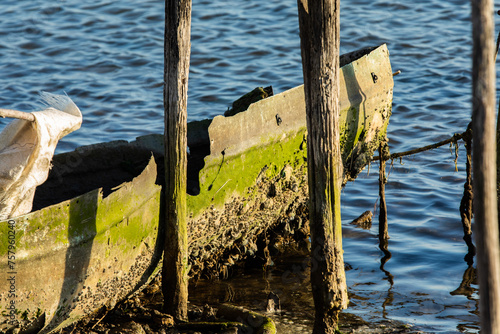 visuale in primo piano del lato di una piccola barca in legno molto vecchia, coperta di muschio verde e vari molluschi, abbandonata lungo la sponda di un fiume photo