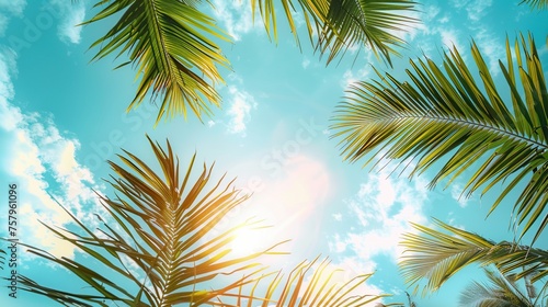 Looking skyward through the fronds of towering palm trees against a clear blue sky, this image offers a fresh perspective and sense of freedom, with ample space for text in the sky.