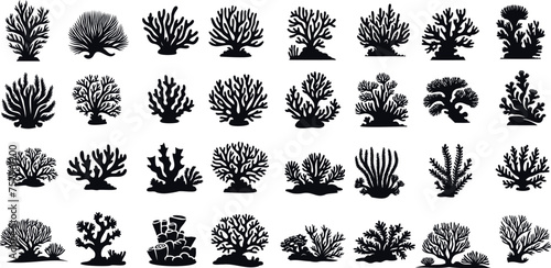 Black coral silhouette. diverse coral species vector illustration, detailed coral in marine life illustrations isolated on white, perfect for educational content and ocean themed designs