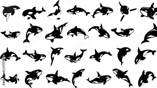 Dynamic orca silhouette, black orca vector shapes isolated on white, depicting marine life in action, perfect orca set for ocean themed artwork, educational materials, and graphic design