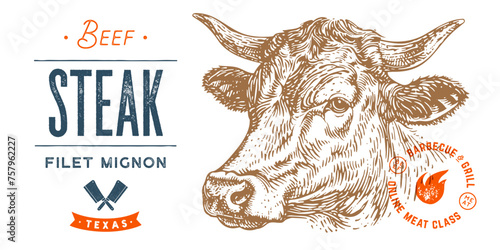 Cow, bull, beef head, meat tag label. Template Meat Tag Label. Vintage print, tag, label pig sketch ink pencil drawing. Butchery cow, bull, beef head meat shop, text, typography. Vector Illustration