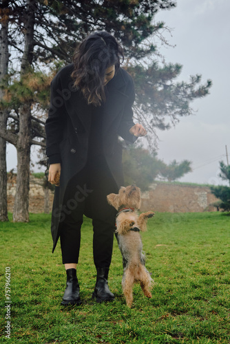 Asian woman with a decorative dog in Spring Park show tricks -walking on hind legs. Female pet owner walks with a Yorkshire terrier, a foggy morning and a soft blurred background in retro style.