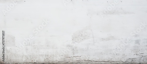 Graceful Black and White Cat Posing Against a Clean White Wall