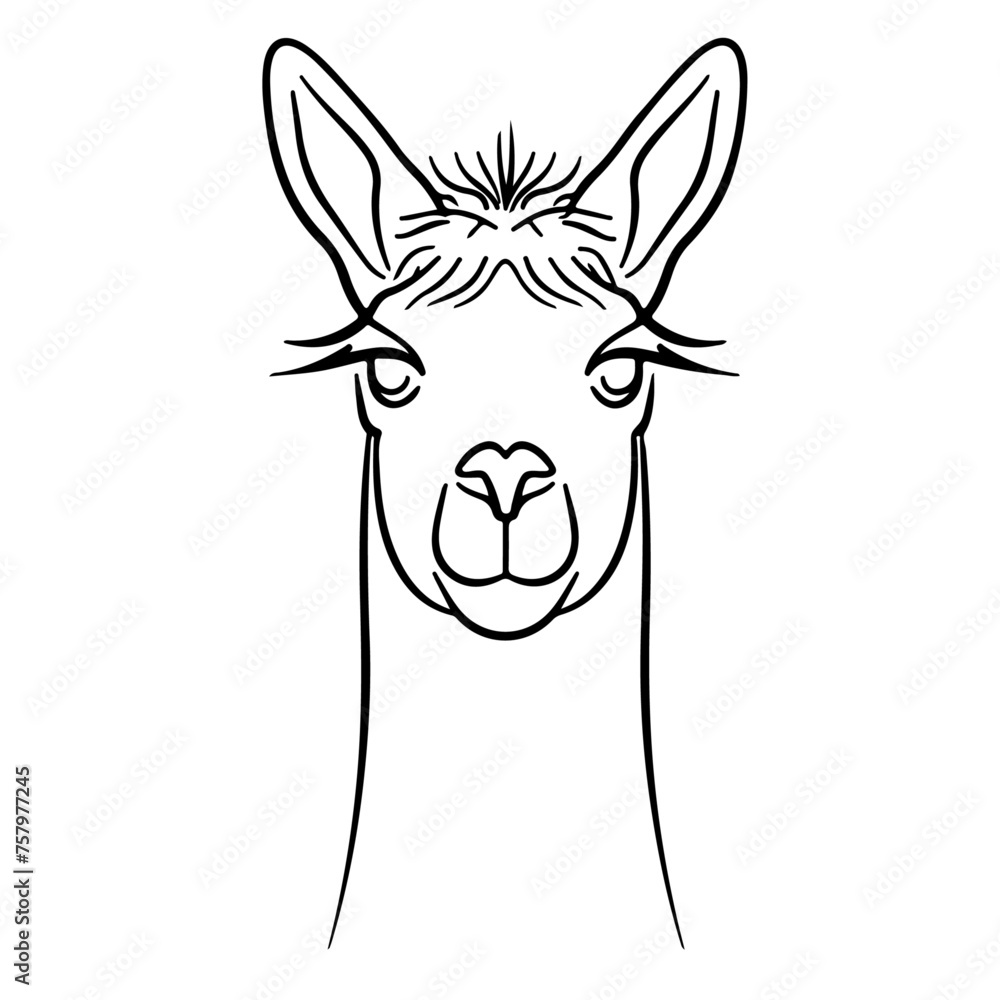 Fototapeta premium Wildlife wild animal symbol icon for logo - Black fine line art silhouette of alpaca head portrait, isolated on white background