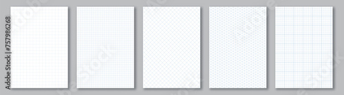 Notebook paper collection. A4 format sheets with blue grid