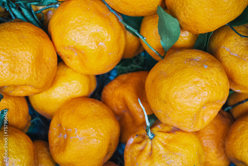 Naranjas Frescas: Delicia Cítrica de la Naturaleza photo