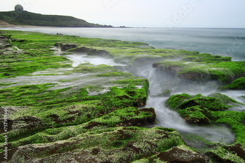 Massive green algae cover the rocky coastline of Laomei in northern Taiwan every spring, coupled with waves surging up along rock fissures during high tide, creates a fascinating and romantic scenery. photo