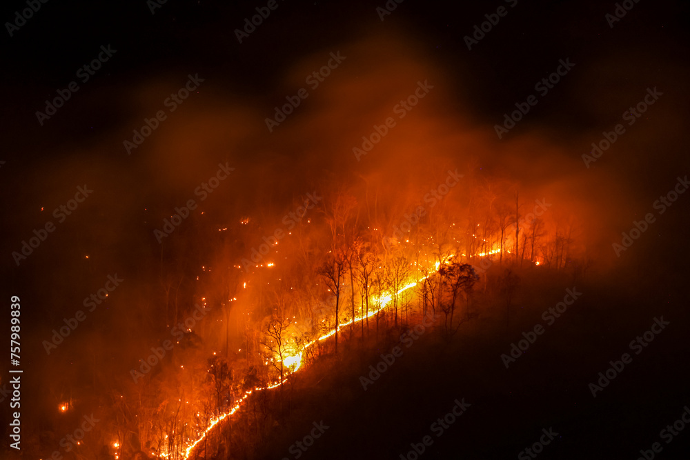Orange forest fire rages in the mountains at night in Chiang Mai. It causes enormous amounts of toxic dust and smoke. Fires continue to burn, destroying forests and wildlife during the summer. - obrazy, fototapety, plakaty 