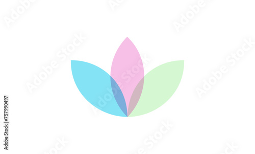 lotus flower