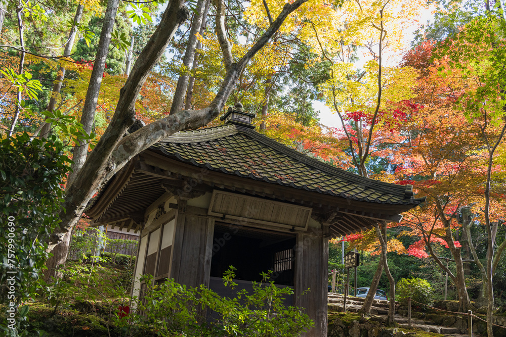 日本　滋賀県愛知郡愛荘町にある湖東三山の一つ、金剛輪寺の西谷堂と紅葉