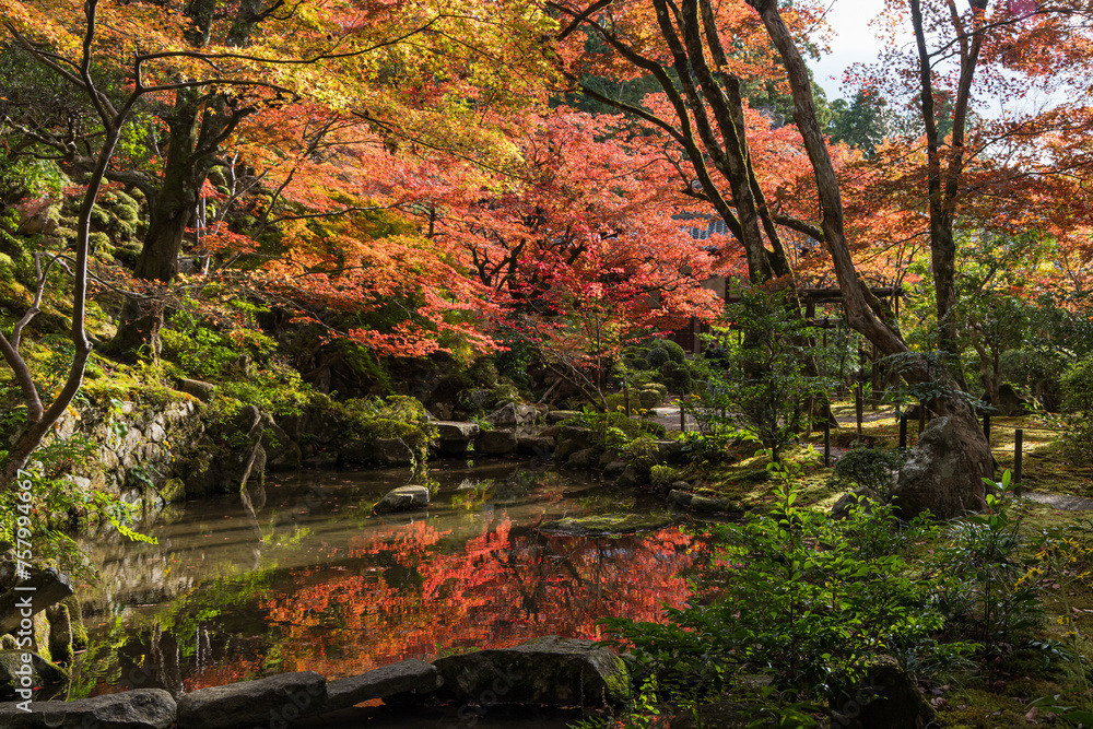 日本　滋賀県愛知郡愛荘町にある湖東三山の一つ、金剛輪寺の明寿院庭園の紅葉