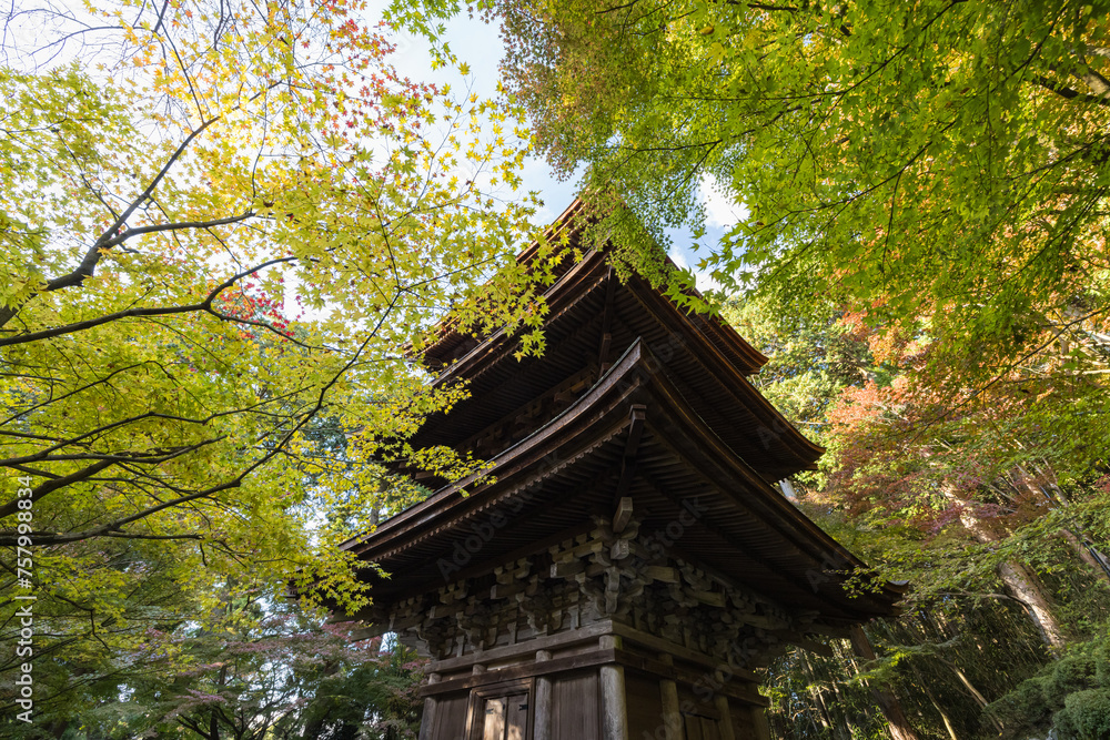 日本　滋賀県愛知郡愛荘町にある湖東三山の一つ、金剛輪寺の三重塔と紅葉
