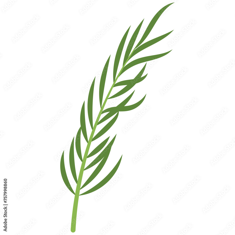 Naklejka premium Tropical Leaf Vector