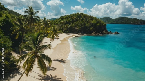Tropical Caribbean beach paradise with crystal-clear turquoise waters and lush palm trees  perfect for an idyllic summer getaway.