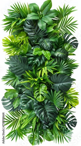 Lush tropical leaves jungle backdrop, isolated on white.