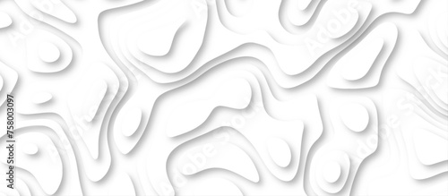 3d render, abstract white paper background. Paper cut vector art background banner texture. multi layer cutout geometric pattern on vector, Abstract soft white background with waves.