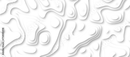3d render, abstract white paper background. Paper cut vector art background banner texture. multi layer cutout geometric pattern on vector, Abstract soft white background with waves.