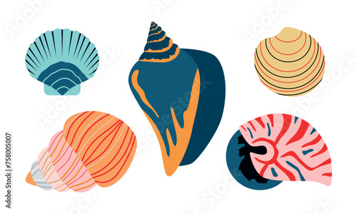 Sea shells set. Nautilus, mollusks. Isolated vector illustration