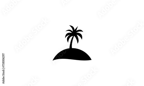 palm tree on a white background