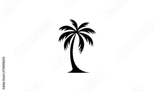 palm tree silhouette