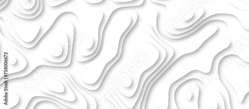 3d render, abstract white paper background. Paper cut vector art background banner texture. multi layer cutout geometric pattern on vector, Abstract soft white background with waves.