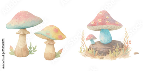 cute mushroom watercolour vector illustration 
