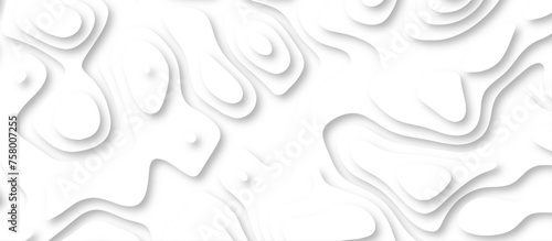3d render, abstract white paper background. Paper cut vector art background banner texture. multi layer cutout geometric pattern on vector, Abstract soft white background with waves.