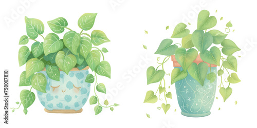 cute plant watercolour vector illustration