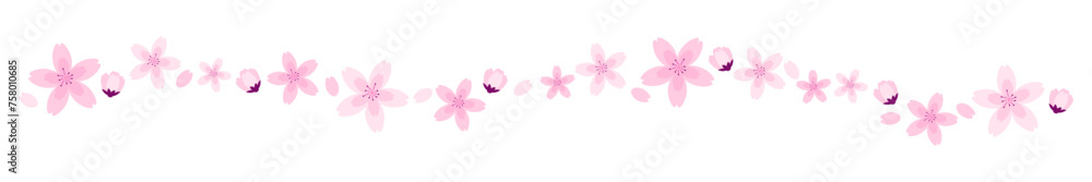 Horizontal divider flowers spring season cherry blossom border decoration flat illustration vector