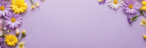 Top view banner romantic spring flowers yellow and purple color with space for text in the middle at purple background. Birthday, Happy Women's Day, Mother's Day concept.