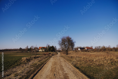 Fototapeta Naklejka Na Ścianę i Meble -  A road in the village in Poland