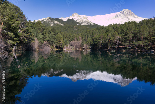 landscape, view, mountains, sunrise, nature, trees, plants, spai