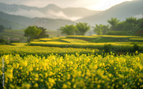 Scenery of rapeseed fields in Wuyuan, Jiangxi Province, China,created with Generative AI tecnology. photo