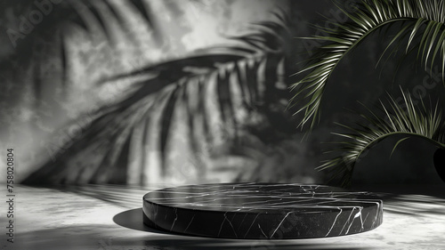 Black marble podium with shadow of palm leaf on the wall. 3D rendering
